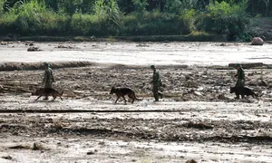 Dừng tìm kiếm nạn nhân mất tích Làng Nủ